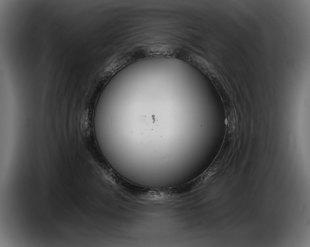 X0000086090764200704132125