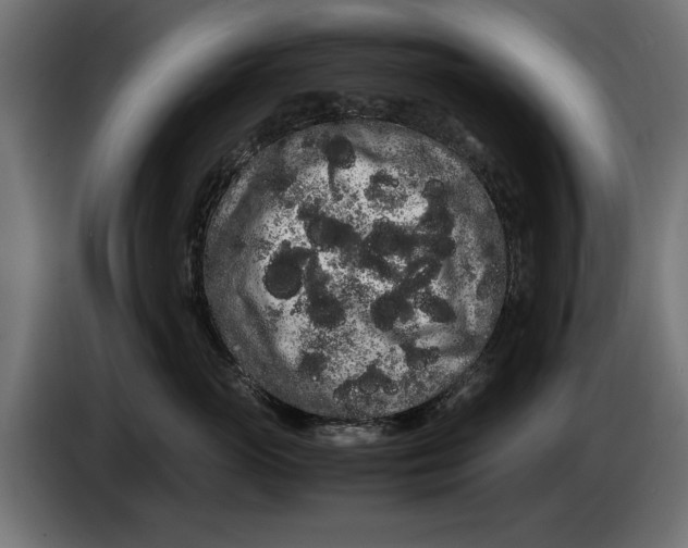 X0000086090765200704132125