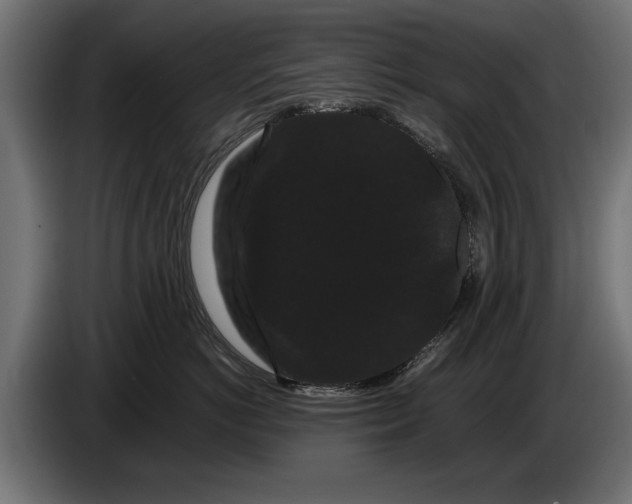 X0000086090766200704132125