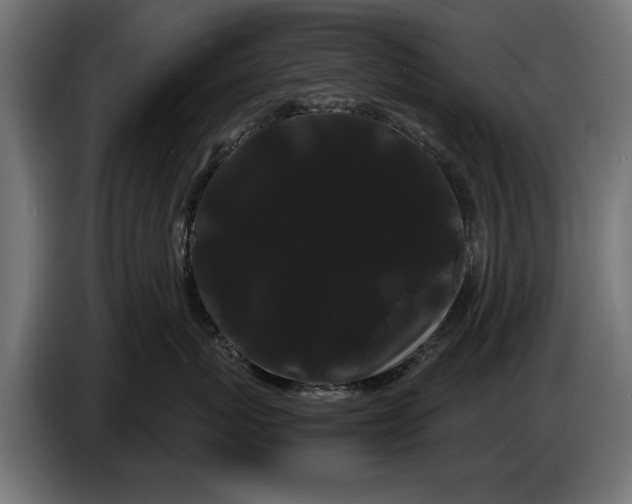 X0000086090767200704132125