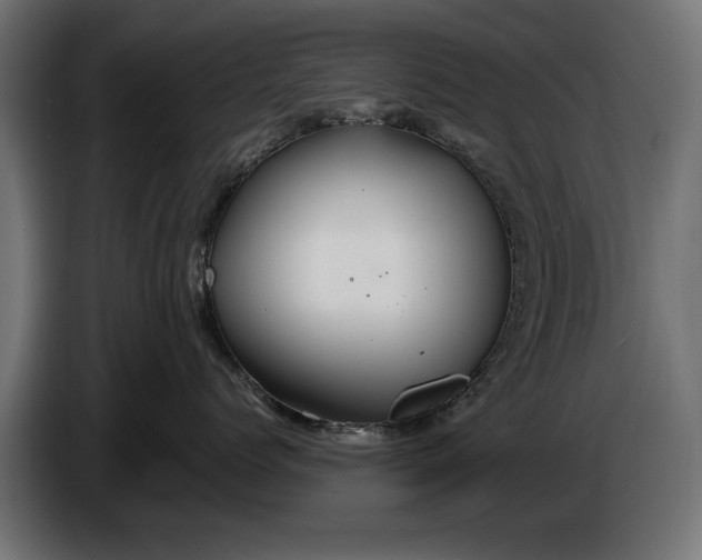 X0000086090768200704132125