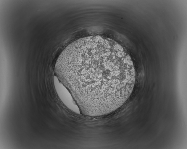 X0000086090772200704132125