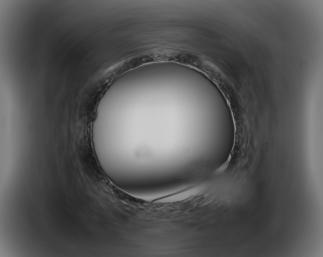 X0000086090773200704132125