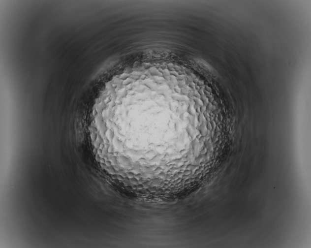 X0000086090774200704132125