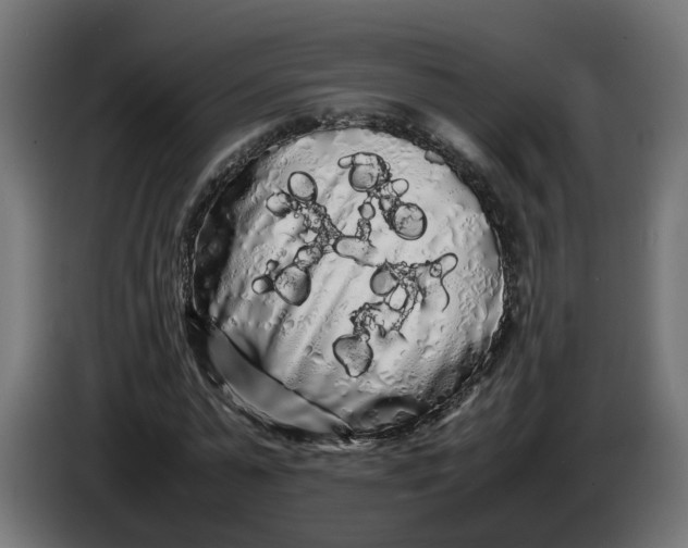 X0000086090775200704132125