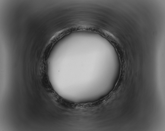 X0000086090776200704132125