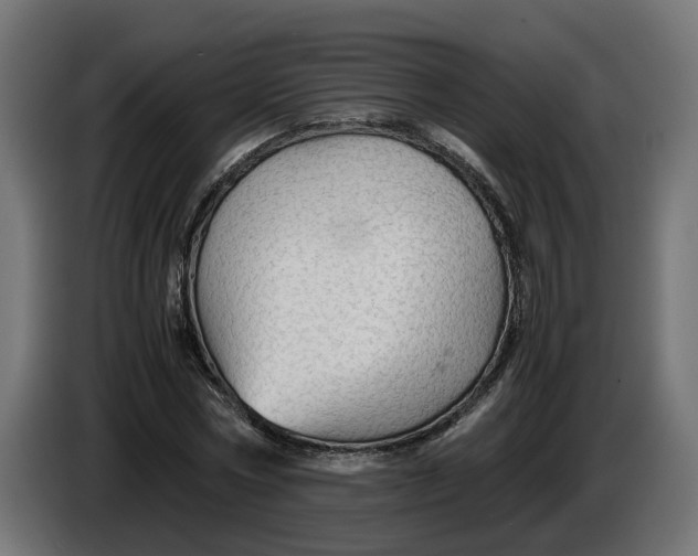 X0000086090778200704132125