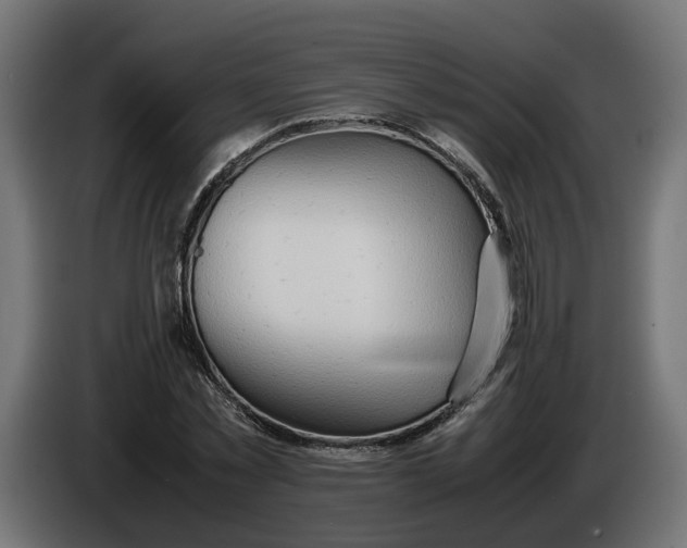 X0000086090781200704132124