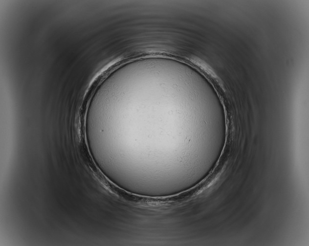 X0000086090782200704132124