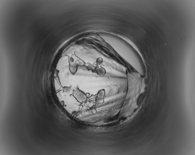 X0000086090783200704132124