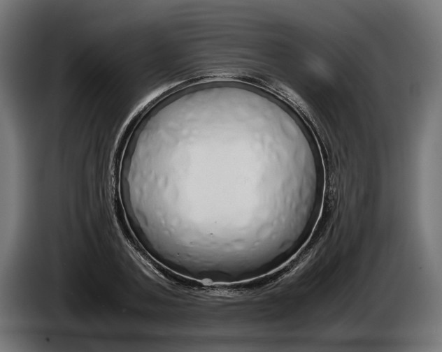 X0000086090787200704132124