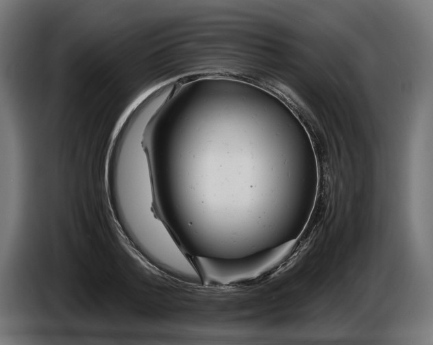 X0000086090788200704132124