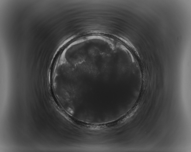 X0000086090790200704132124