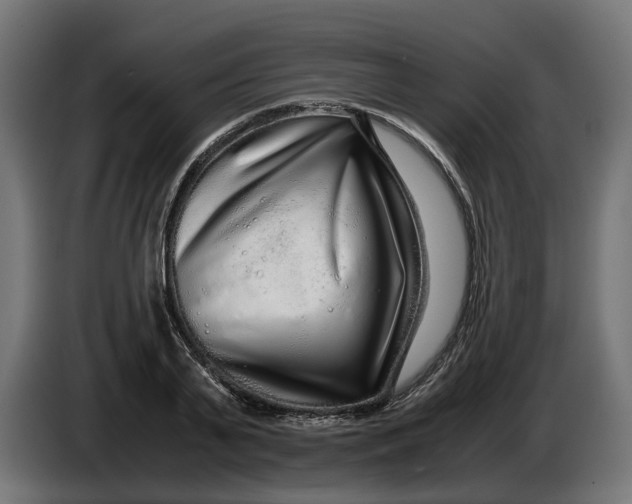 X0000086090791200704132124