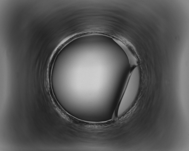 X0000086090792200704132124