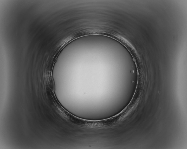 X0000086090793200704132124