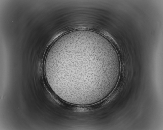 X0000086090794200704132124