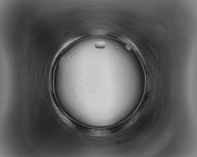 X0000086090795200704132124