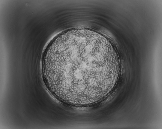 X0000086090796200704132124