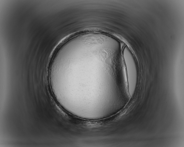 X0000086090799200704132124