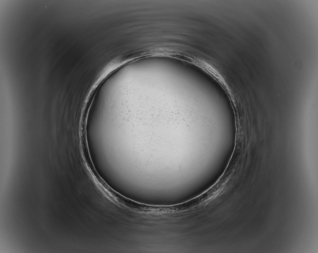 X0000086090803200704132124