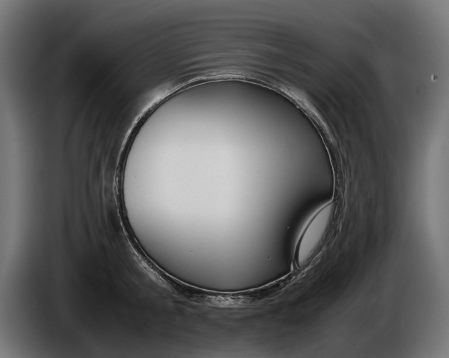 X0000086090805200704132124