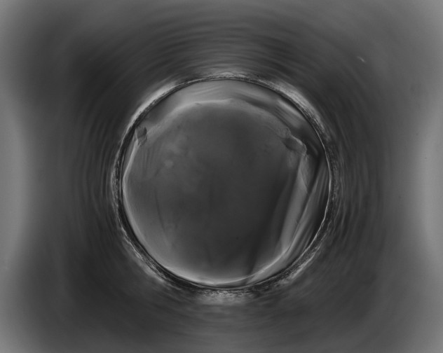 X0000086090806200704132124