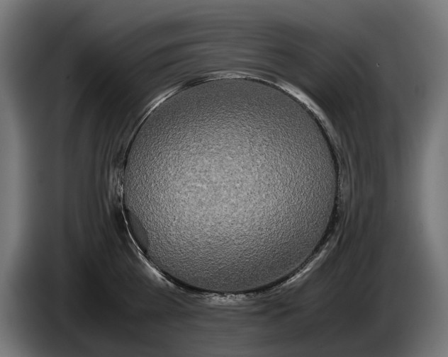 X0000086090809200704132124