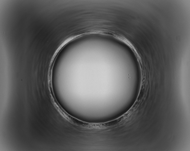 X0000086090811200704132124