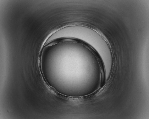 X0000086090813200704132124