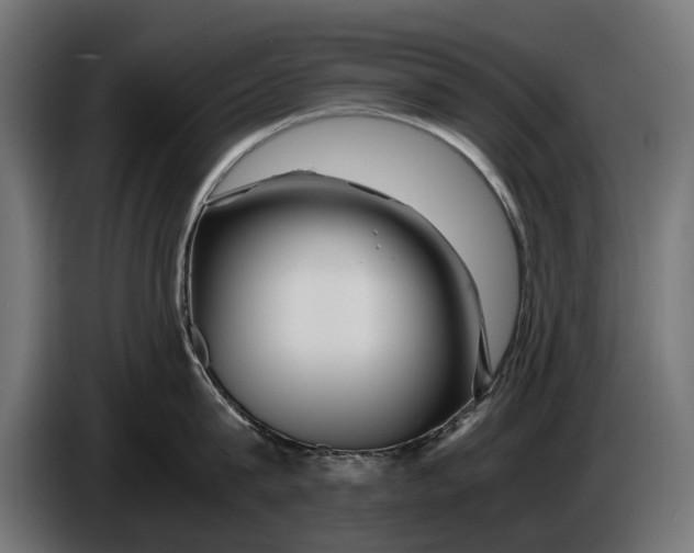 X0000086090815200704132124