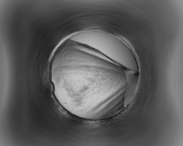 X0000086090816200704132124