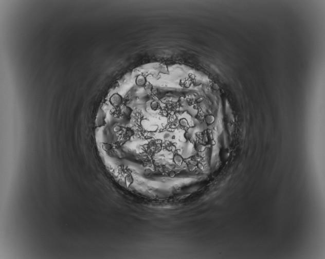 X0000086090817200704132123