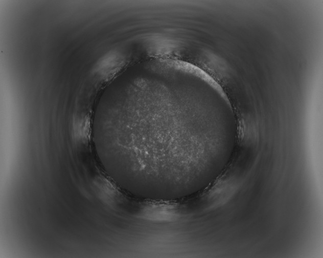 X0000086090820200704132123