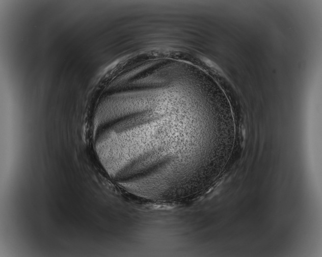 X0000086090822200704132123