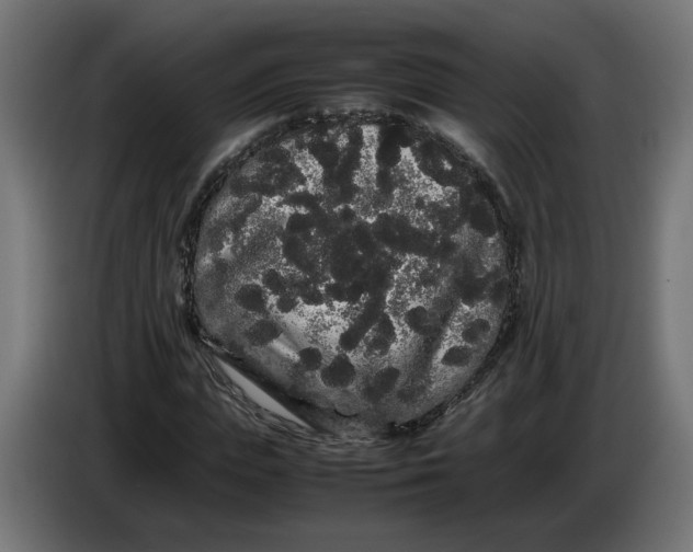 X0000086090823200704132123