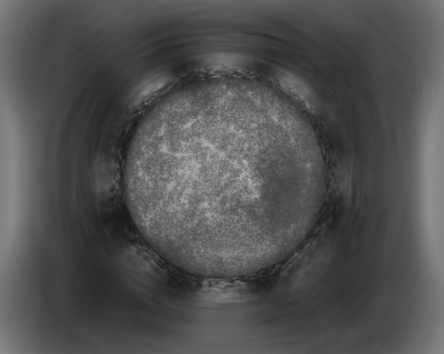 X0000086090824200704132123