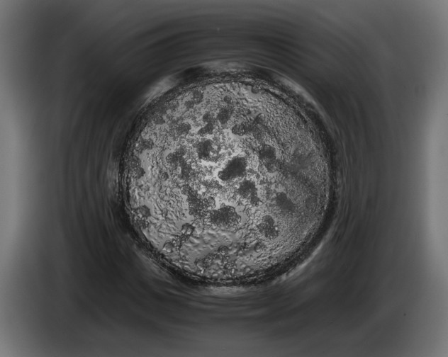 X0000086090825200704132123