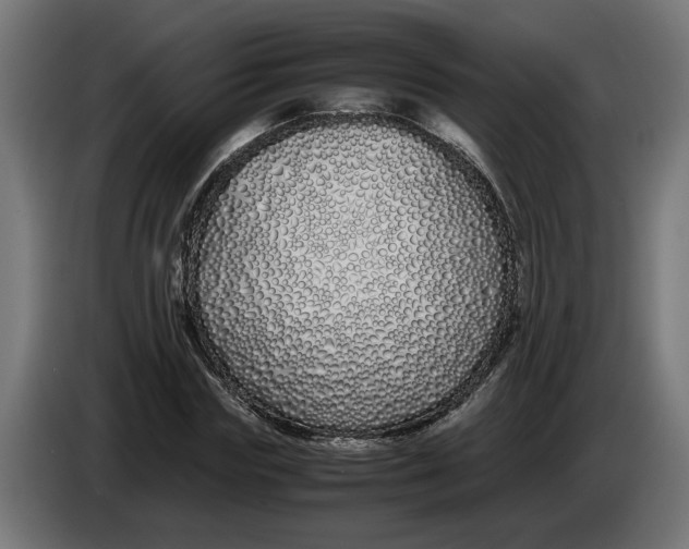 X0000086090827200704132123