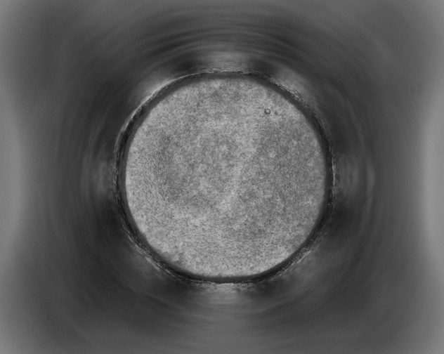 X0000086090828200704132123