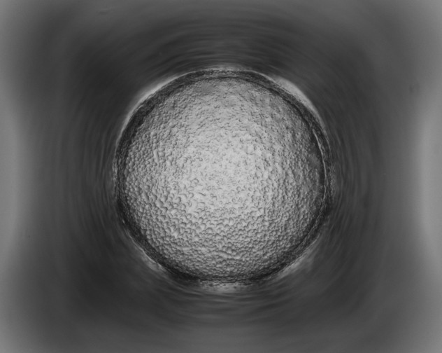 X0000086090831200704132123