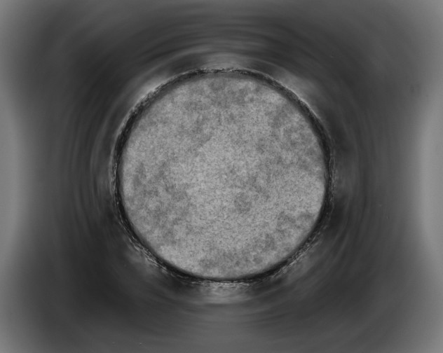 X0000086090832200704132124