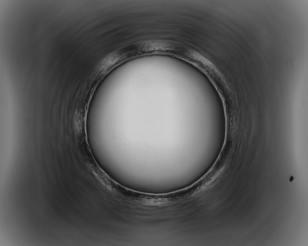 X0000086090833200704132124