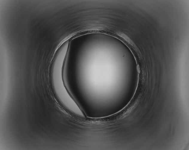 X0000086090834200704132124