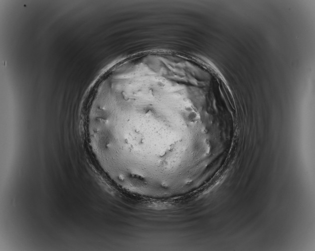 X0000086090835200704132124