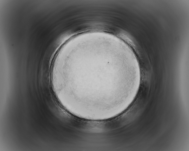 X0000086090836200704132124