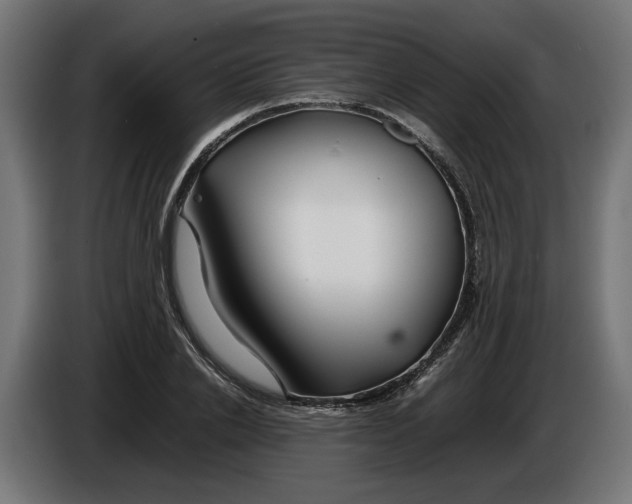 X0000086090838200704132124