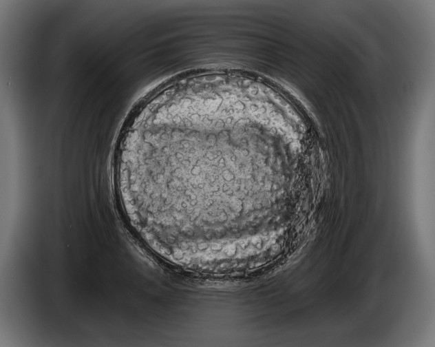 X0000086090840200704132124