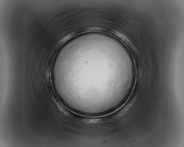 X0000086090841200704132124