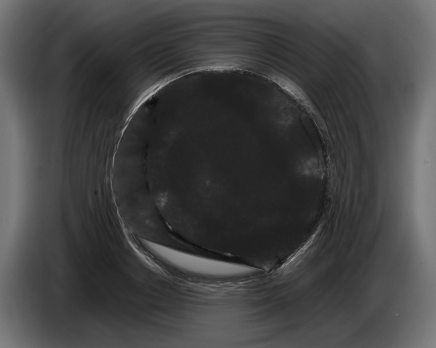 X0000086090842200704132124